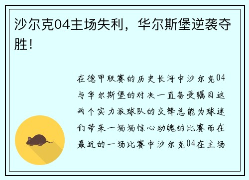 沙尔克04主场失利，华尔斯堡逆袭夺胜！